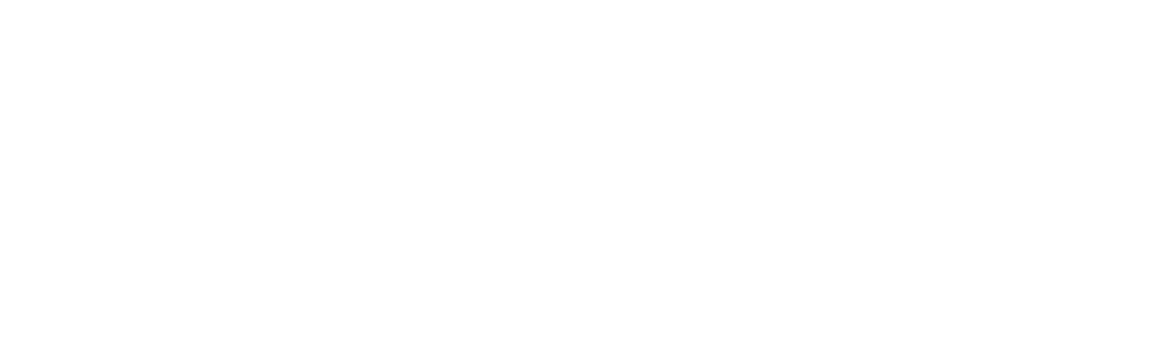 Logo-neu-weiss_2.png